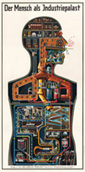 Poster Fritz Kahn